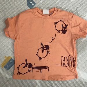 Boys zara sheep tee
